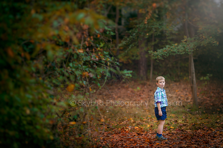 D Family | Charlottesville Fall Photos