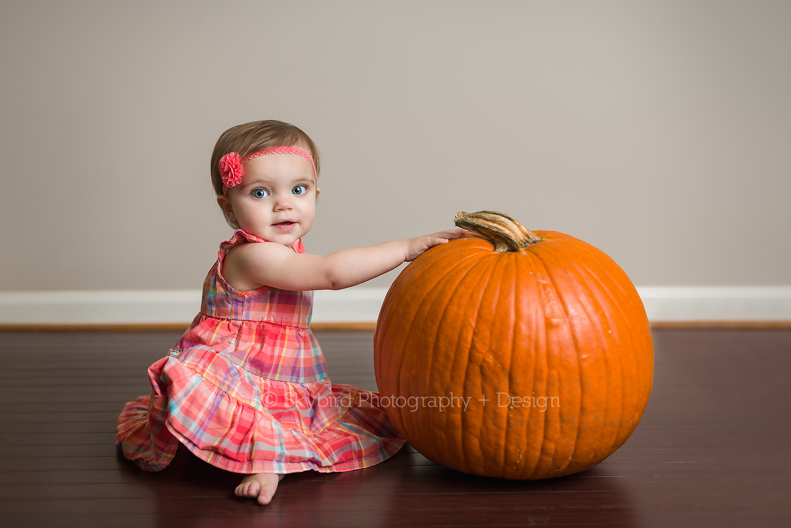 Happy 1st Birthday | Charlottesville 1 Year Photographer