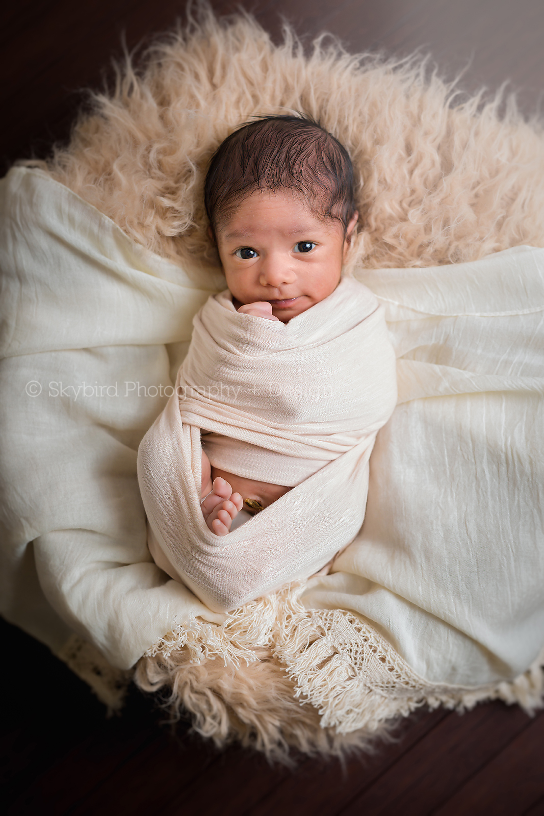 Charlottesville Newborn Mini Session