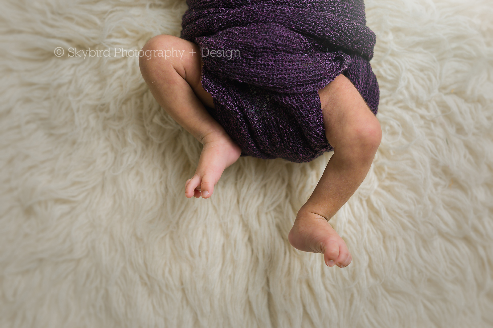 Charlottesville Newborn Mini Session