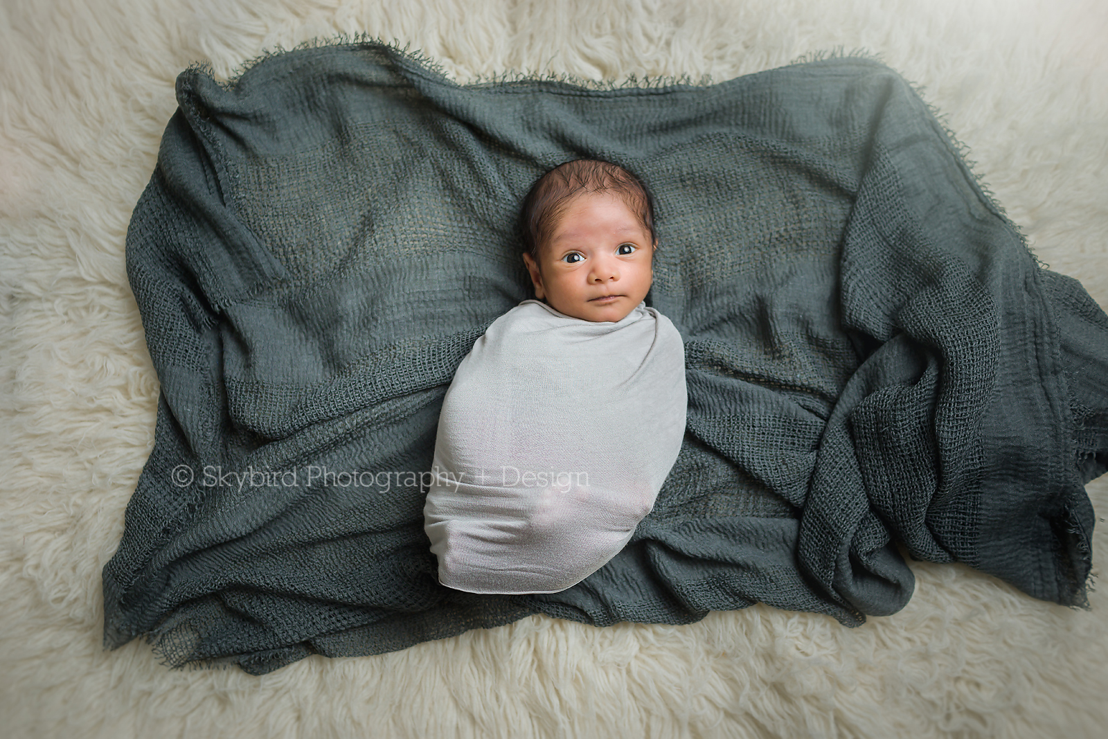 Charlottesville Newborn Mini Session