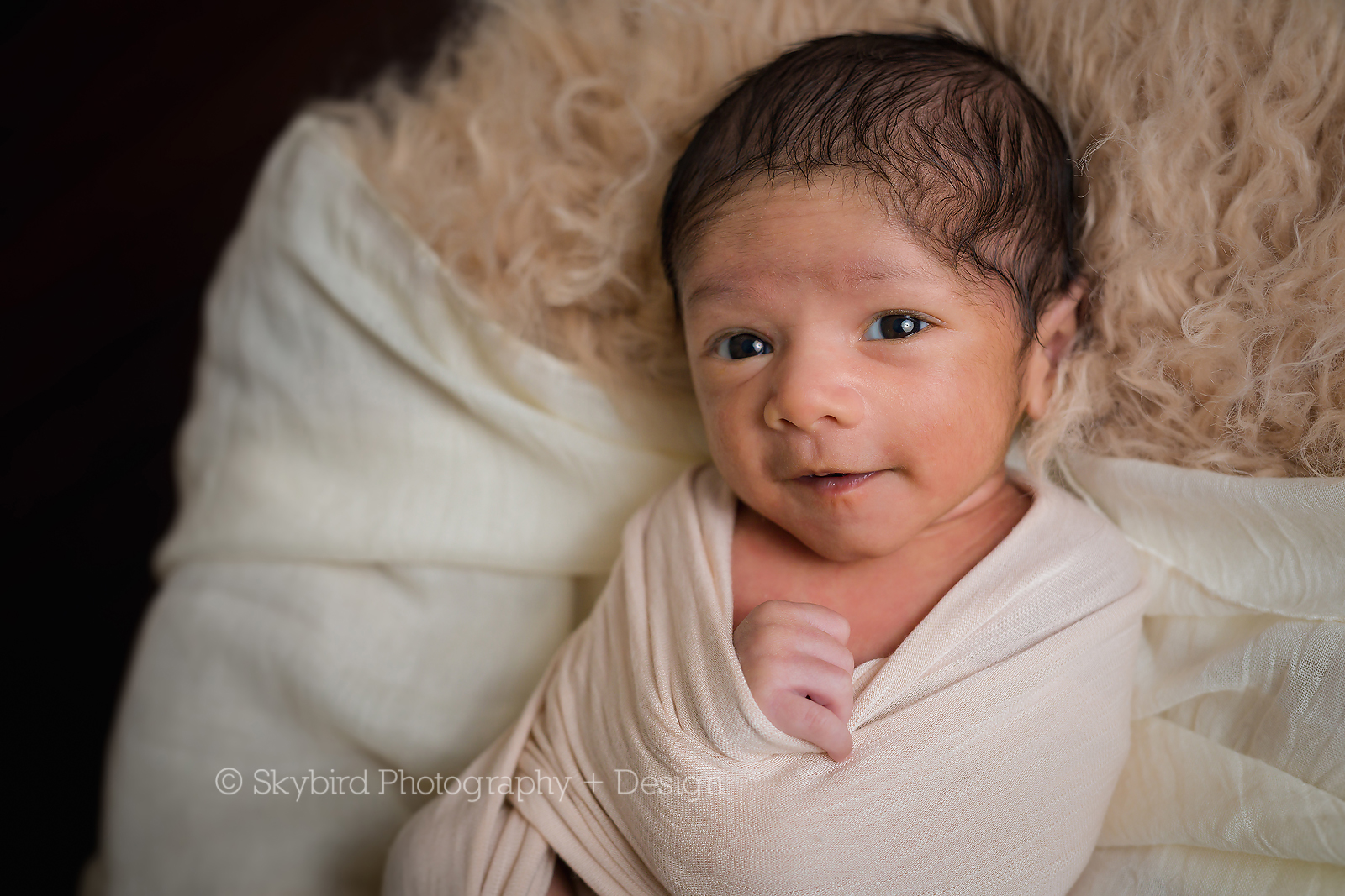 Charlottesville Newborn Mini Session