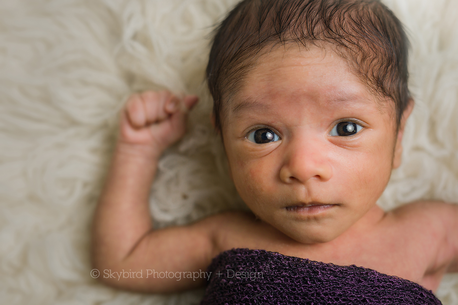 Charlottesville Newborn Mini Session