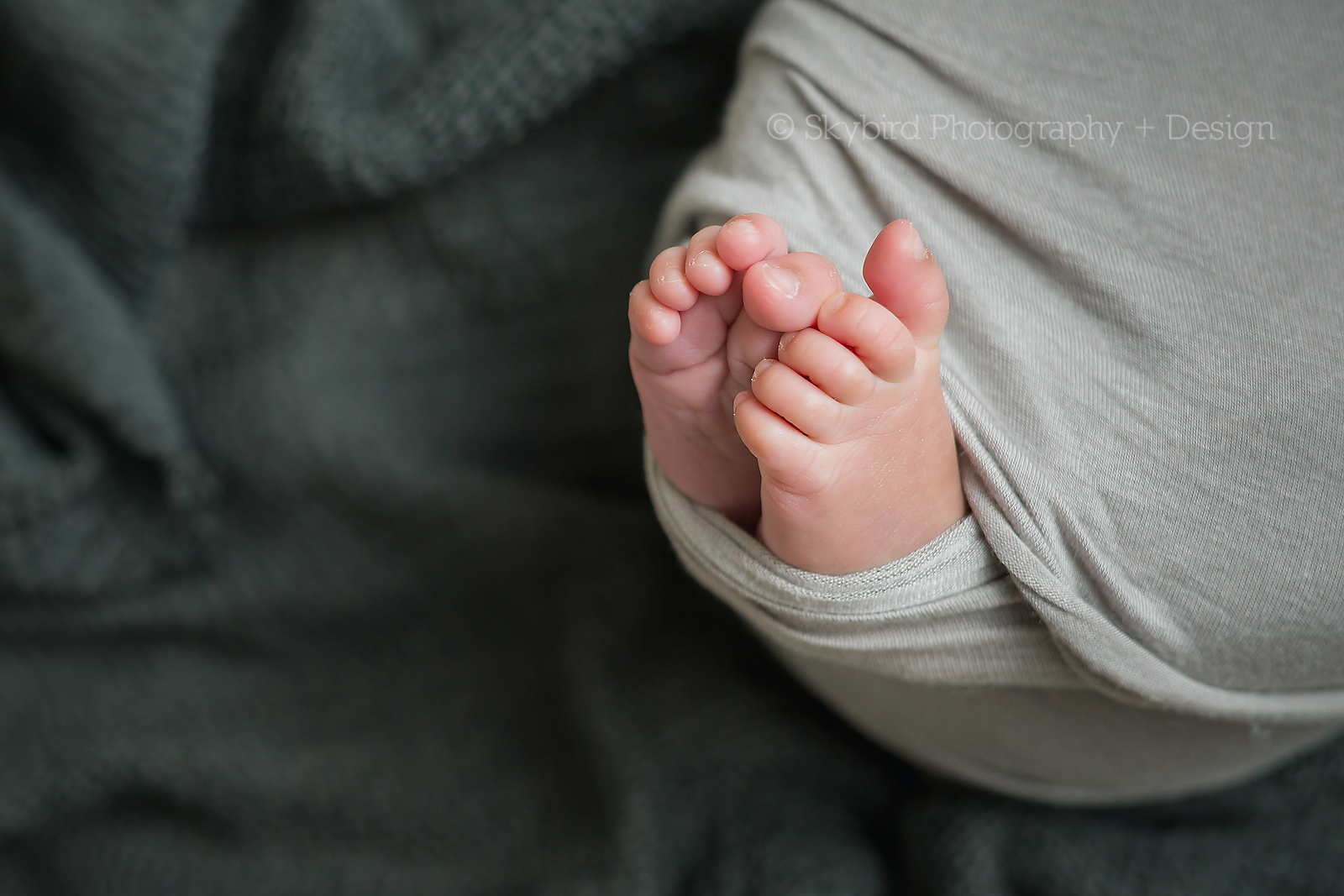 Charlottesville Newborn Mini Session