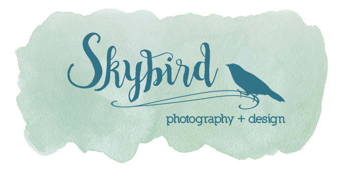Skybird Photography + Design, LLC